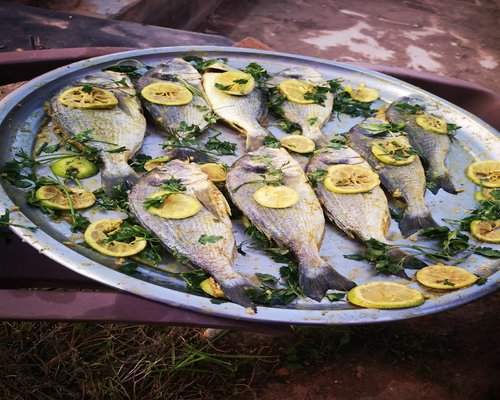 Fresh sardines with lemon and herbs on a plate